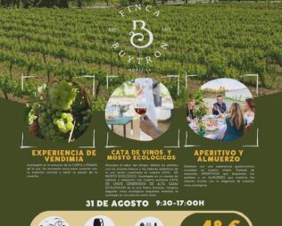 Día de Vendimia en Finca Buytrón