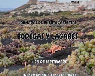 JORNADA DE PUERTAS ABIERTAS DE BODEGAS Y LAGARES