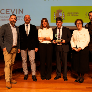 La Ruta del Vino Montilla-Moriles recibe el galardón a la Mejor Acción de Promoción en los Premios de Enoturismo de España